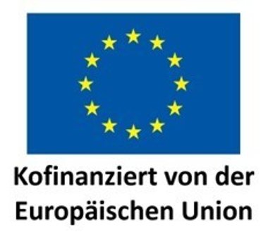 EU Logo EU Logo