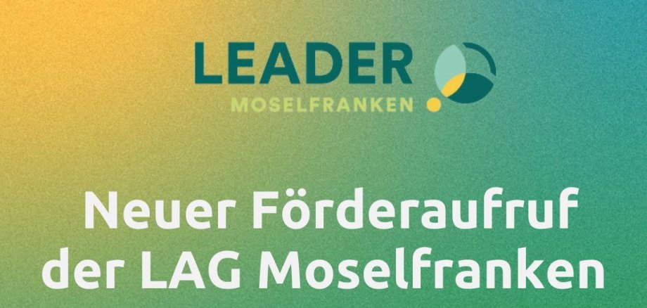 Kopie von Feed - 2