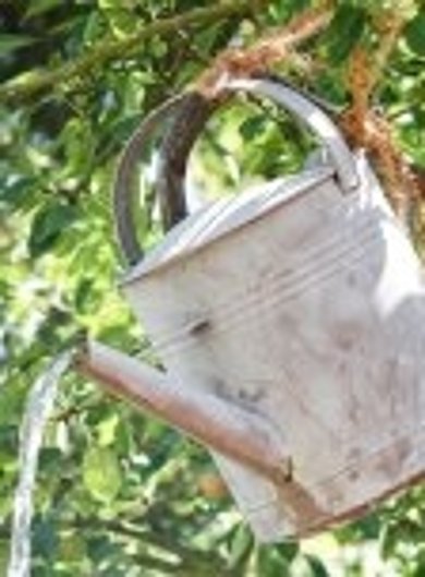 Gießkanne klassisch alte Gießkanne aus Oma´s Zeiten