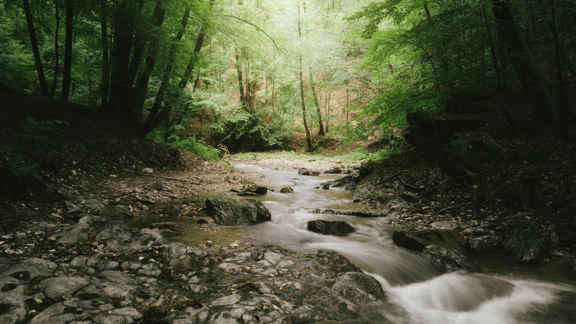 Instagram-Vorlagen - 32
