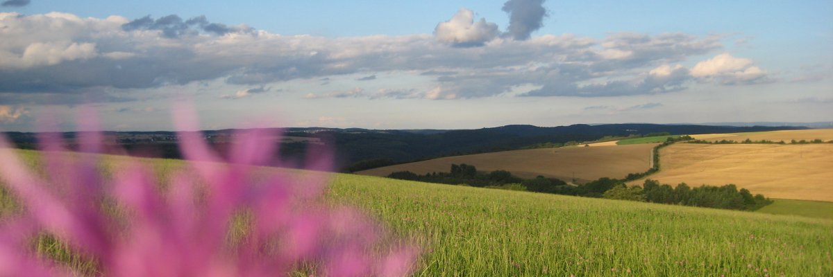 Eifel Landschaft Eifel Landschaft Felder
