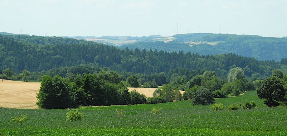 Aussichtsturm Zemmer-Rodt