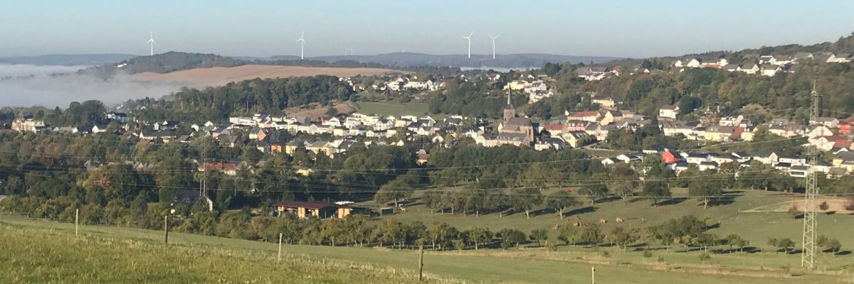 Panoramblick auf Trierweiler im Morgennebel