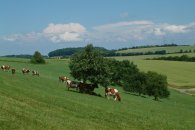 Newel und Ortsteile/Umgebung