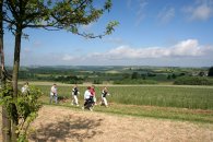 Landschaft Trier-Land